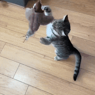 GIF1-ezgif.com-optimize.gif__PID:b893fda7-0680-4a66-b1a6-c102a093f067