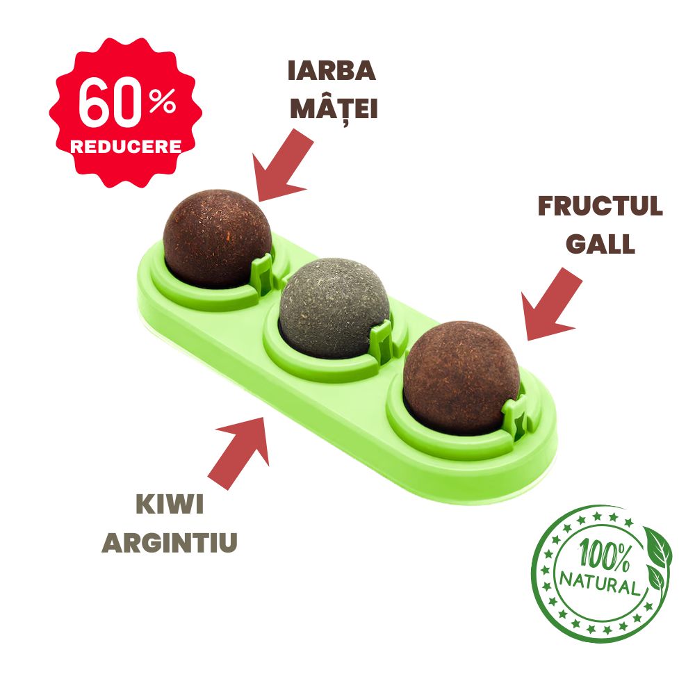 SpinMiau Jucarie cu Iarba Matei