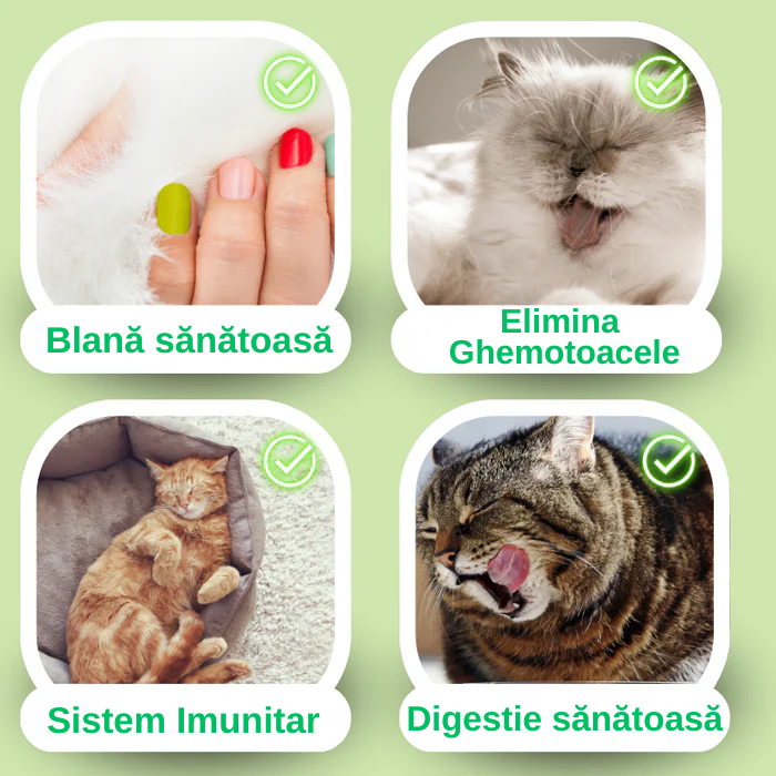 FelinaCare Crema cu Iarba Pisicii si Malț