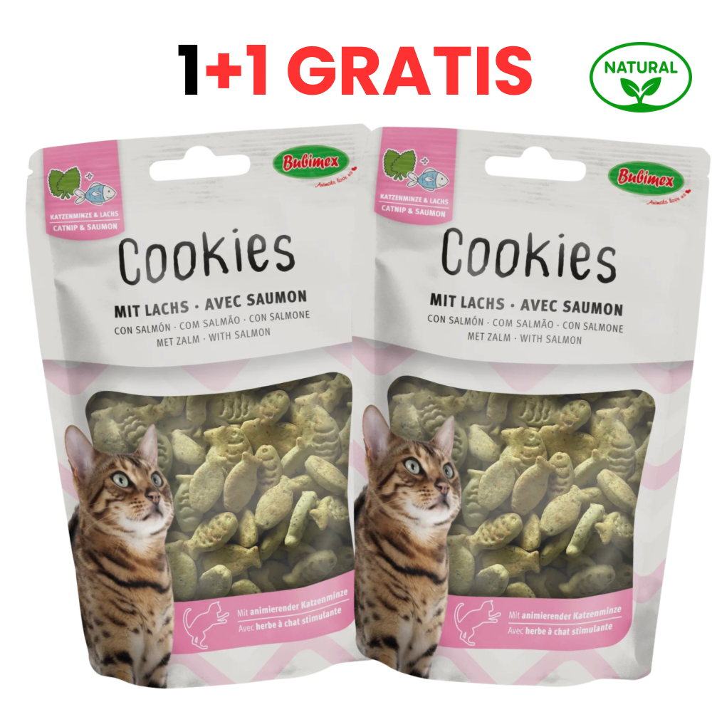 PurrMiau biscuiți cu Somon și Iarba Pisicii