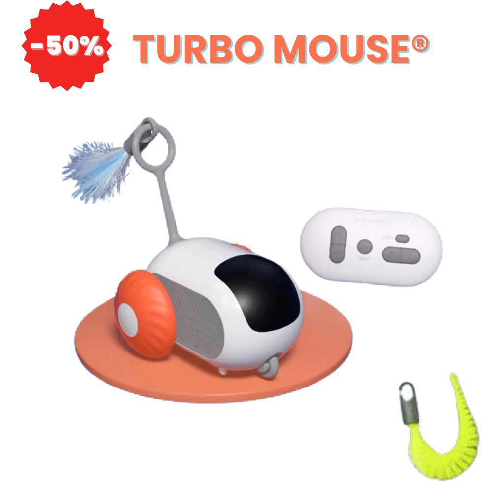 Jucărie Inteligentă Pisici Turbo Mouse® - Main Store