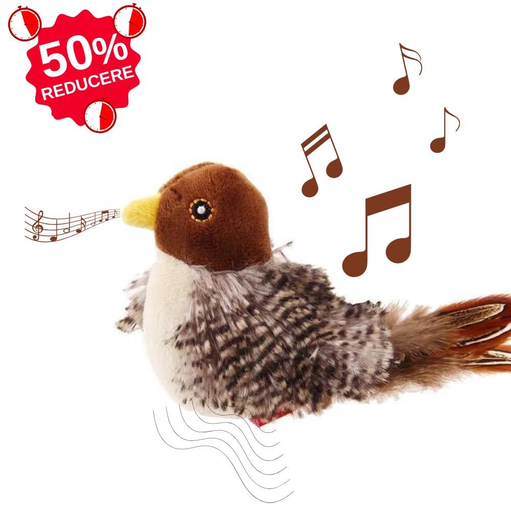 Jucarie interactiva Pasare Cipi pentru pisici - pandamag.ro