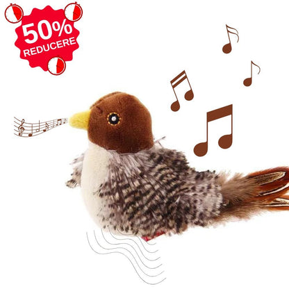 Jucarie interactiva Pasare Cipi pentru pisici - pandamag.ro