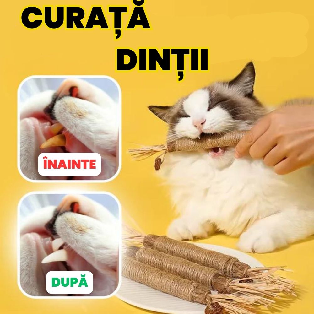 Jucarie pentru curățat dinții 1+2 Gratis - pandamag.ro