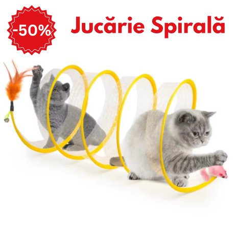 Jucărie Spirală pentru Pisici - Main Store