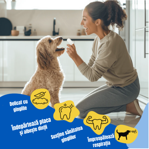Servetele pentru Igiena Animalelor SafeClean