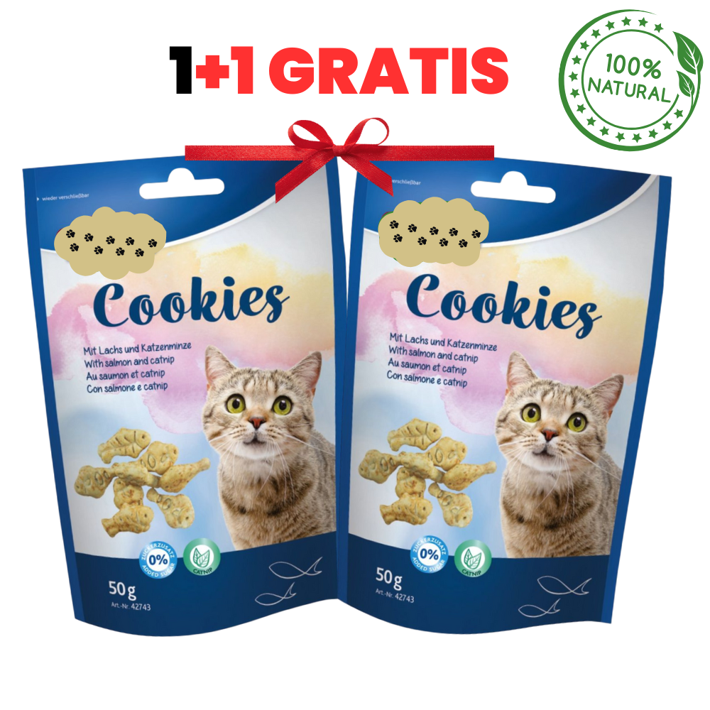 PurrMiau biscuiți cu Somon și Iarba Pisicii