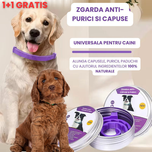 Zgardă PetProtect anti-purici și căpușe pentru câini - pandamag.ro