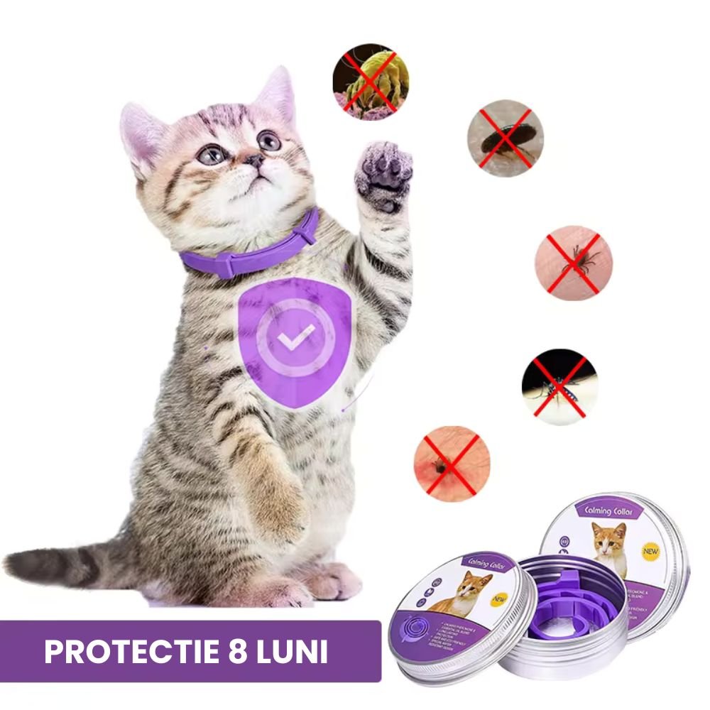 Zgardă PetProtect anti - purici și căpușe pentru pisici - pandamag.ro