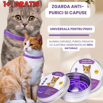 Zgardă PetProtect anti - purici și căpușe pentru pisici - pandamag.ro