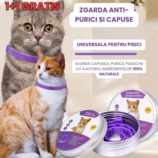 Zgardă PetProtect anti - purici și căpușe pentru pisici - pandamag.ro