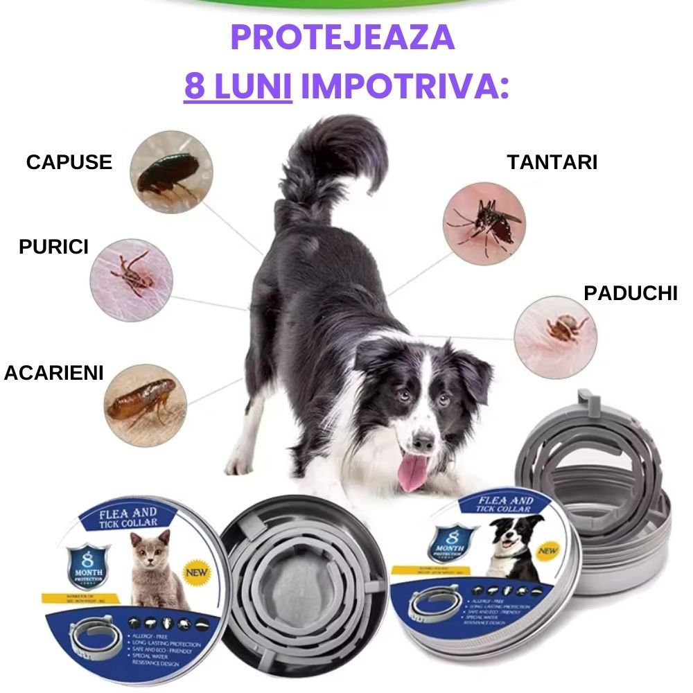 Zgardă PetProtect anti-purici și căpușe pentru pisici și câini - pandamag.ro